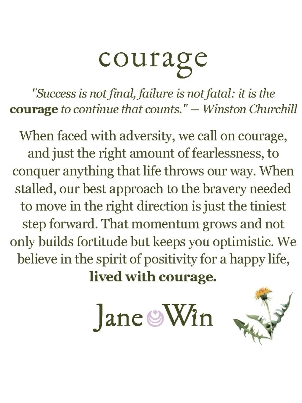 Jane Win Courage Small Pendant Coin with Chain - Picture 3 of 11